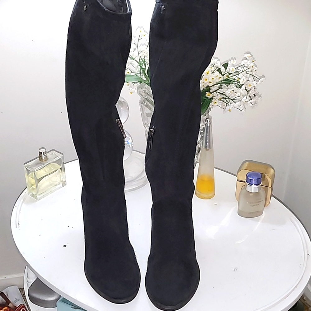 Women's Ugg beautiful suede heels boots.  These  boots are in great condition.